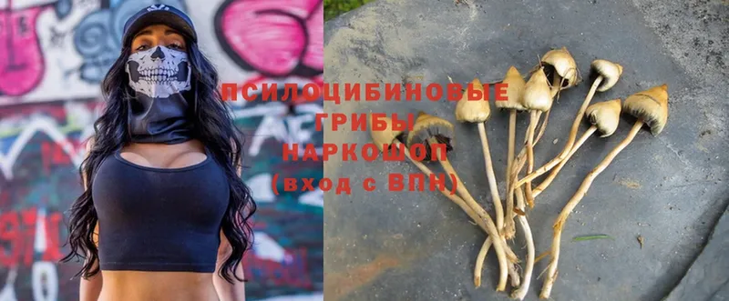 цены   omg зеркало  Псилоцибиновые грибы Psilocybine cubensis  Каргополь 